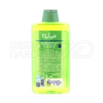 شامپو فولیکا سبومین B6 با ویتامین B6 و عصاره نعنا، کاهش دهنده چربی سر، تقویت کننده و ضد ریزش مو