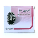 قرص گارسین با پودر سیر و آلیین، کاهنده چربی خون، کمک به لاغری و افزایش متابولیسم